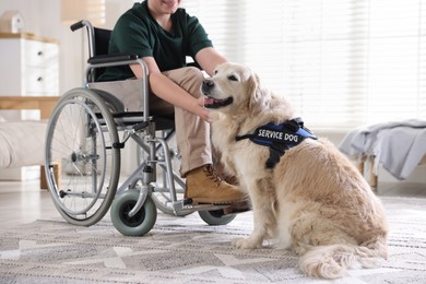 Photo of Teenage boy in wheelchair with his service dog at home, closeup