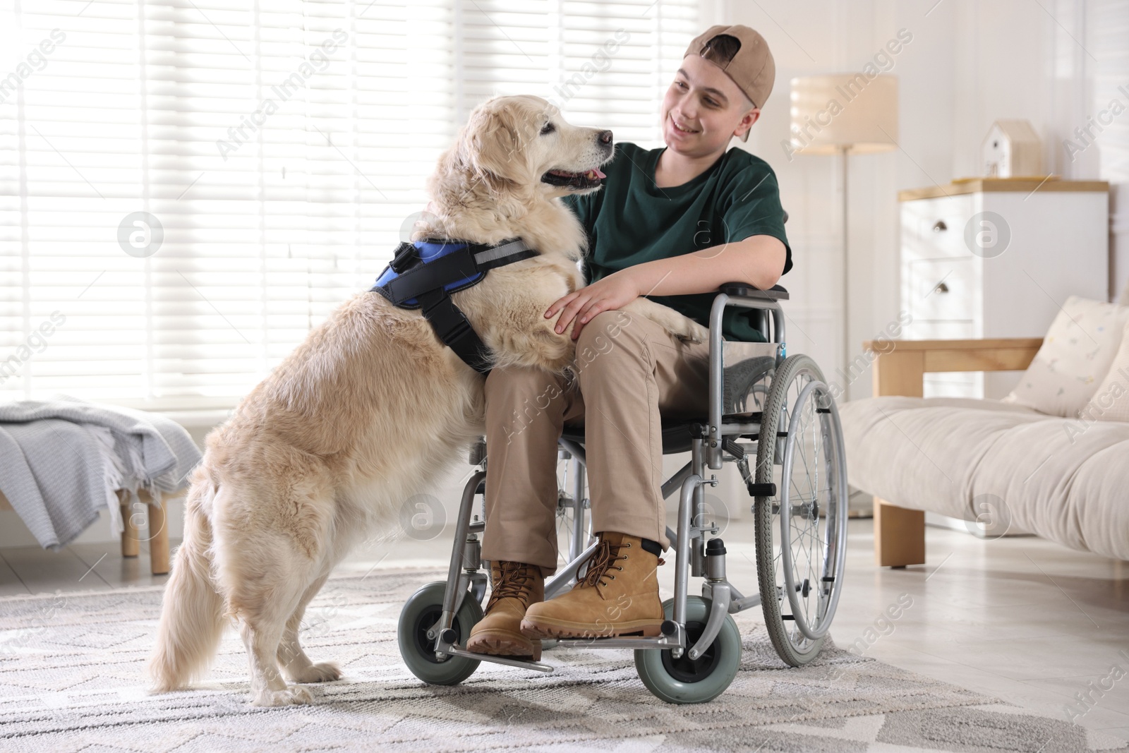Photo of Teenage boy in wheelchair with his service dog at home