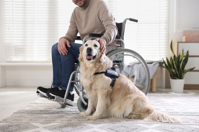 Photo of Man in wheelchair with his service dog at home, closeup