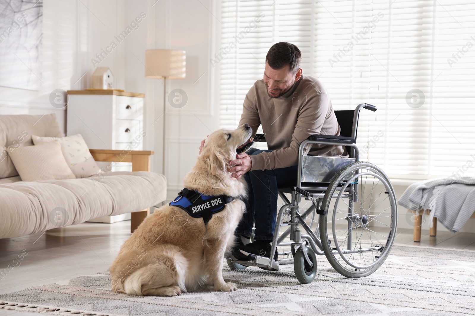 Photo of Man in wheelchair with his service dog at home