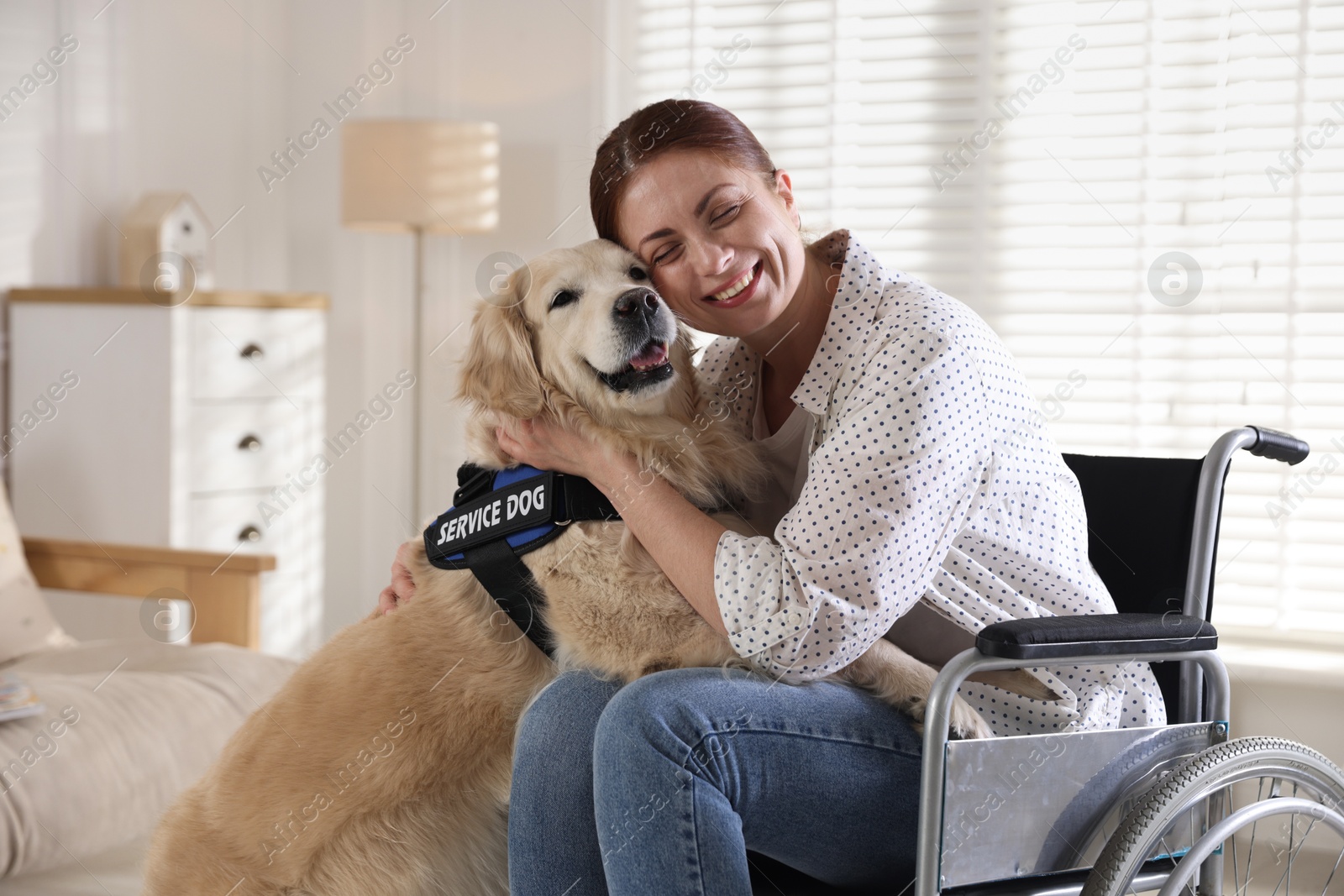 Woman in wheelchair hugging her service dog at home Photo of Woman in wheelchair hugging her service dog at home