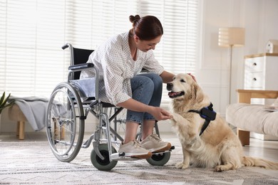 Photo of Service dog giving paw to woman in wheelchair at home