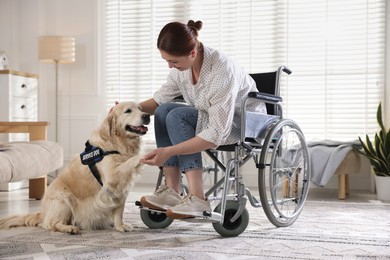 Photo of Service dog giving paw to woman in wheelchair at home