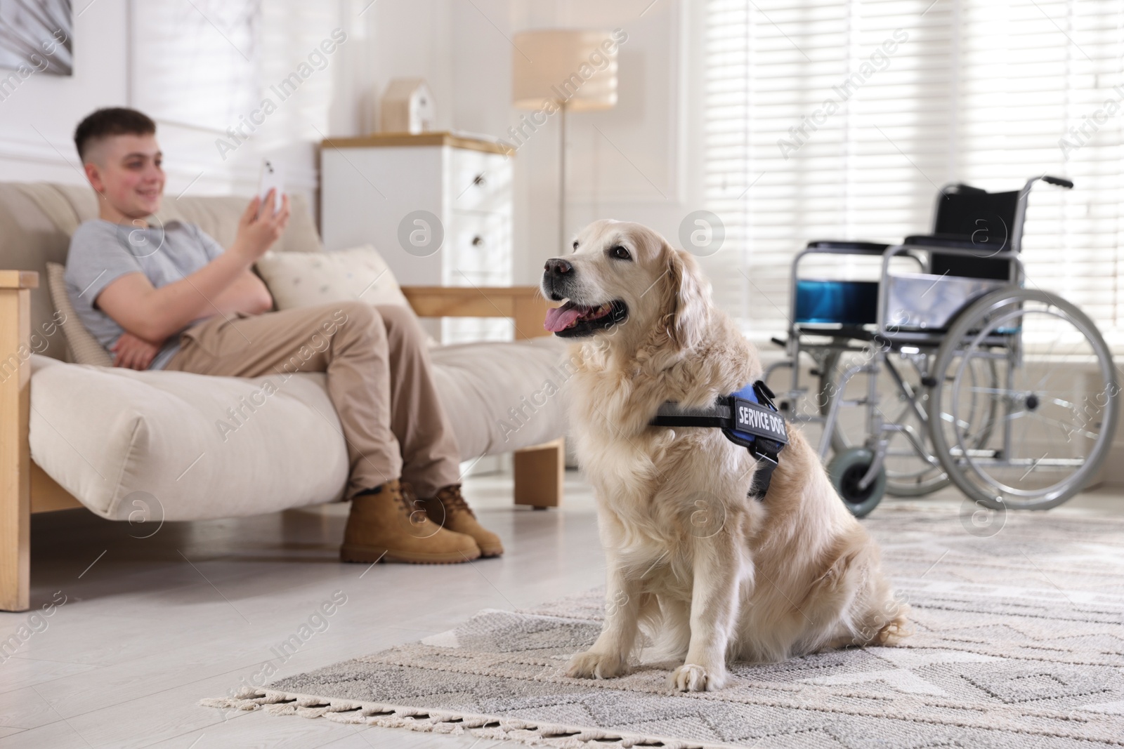 Teenage boy with disability and his service dog at home, selective focus Photo of Teenage boy with disability and his service dog at home, selective focus