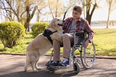 Photo of Teenage boy in wheelchair with his service dog at park