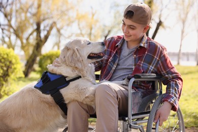 Photo of Teenage boy in wheelchair with his service dog at park