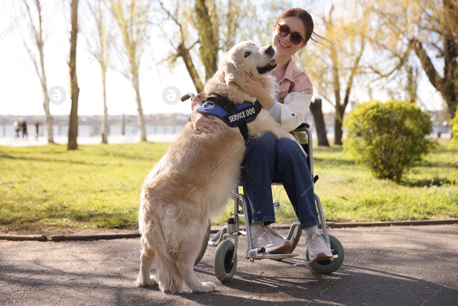 Woman in wheelchair hugging her service dog at park Photo of Woman in wheelchair hugging her service dog at park