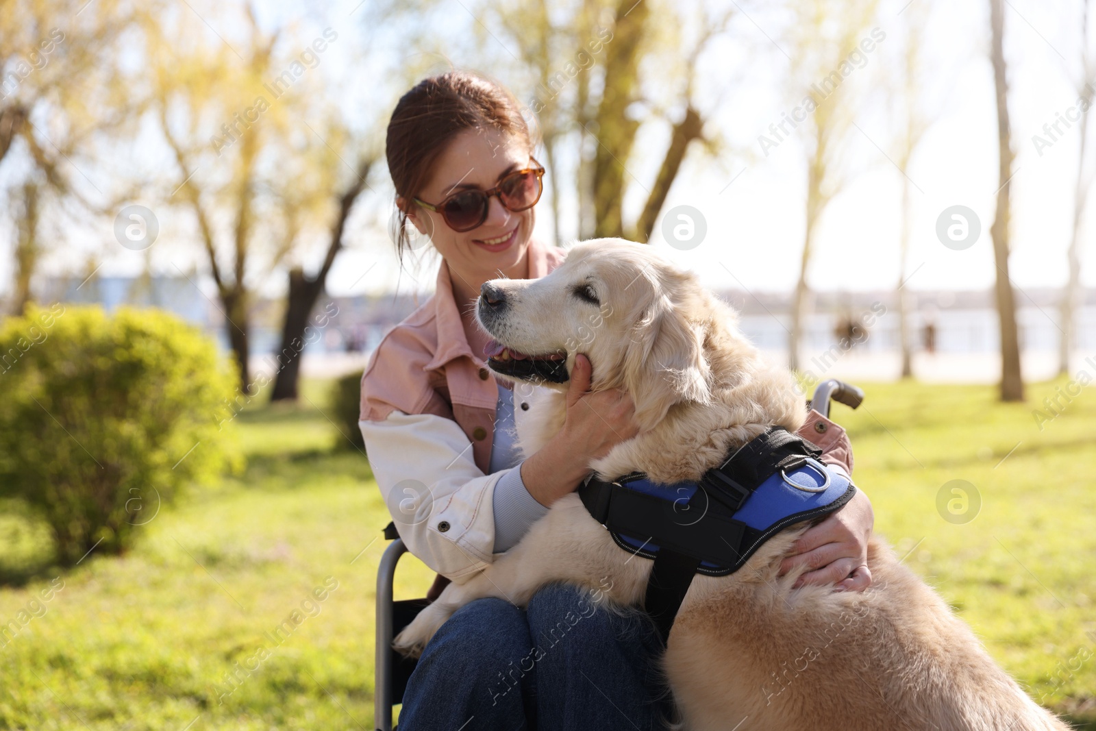 Woman in wheelchair hugging her service dog at park Photo of Woman in wheelchair hugging her service dog at park