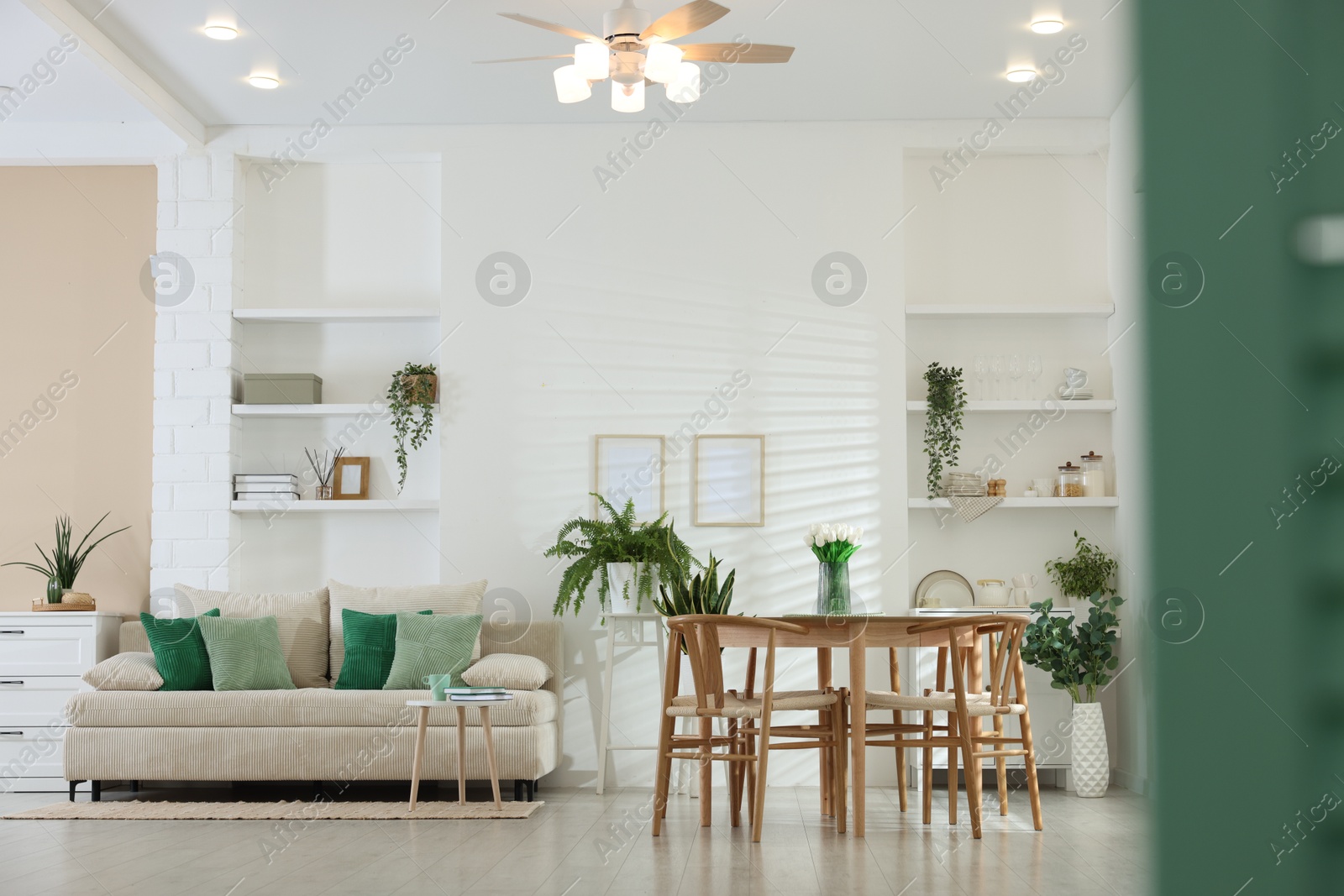 Comfortable sofa, table, chairs and green houseplants indoors. Interior design Photo of Comfortable sofa, table, chairs and green houseplants indoors. Interior design