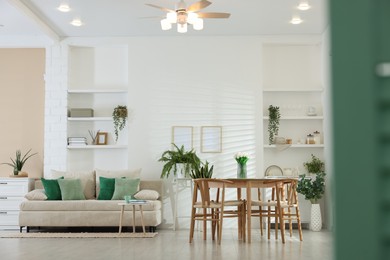 Photo of Comfortable sofa, table, chairs and green houseplants indoors. Interior design