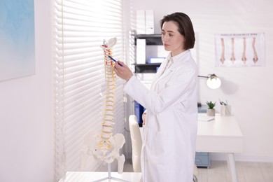 Photo of Doctor pointing at sections of human spine model in clinic