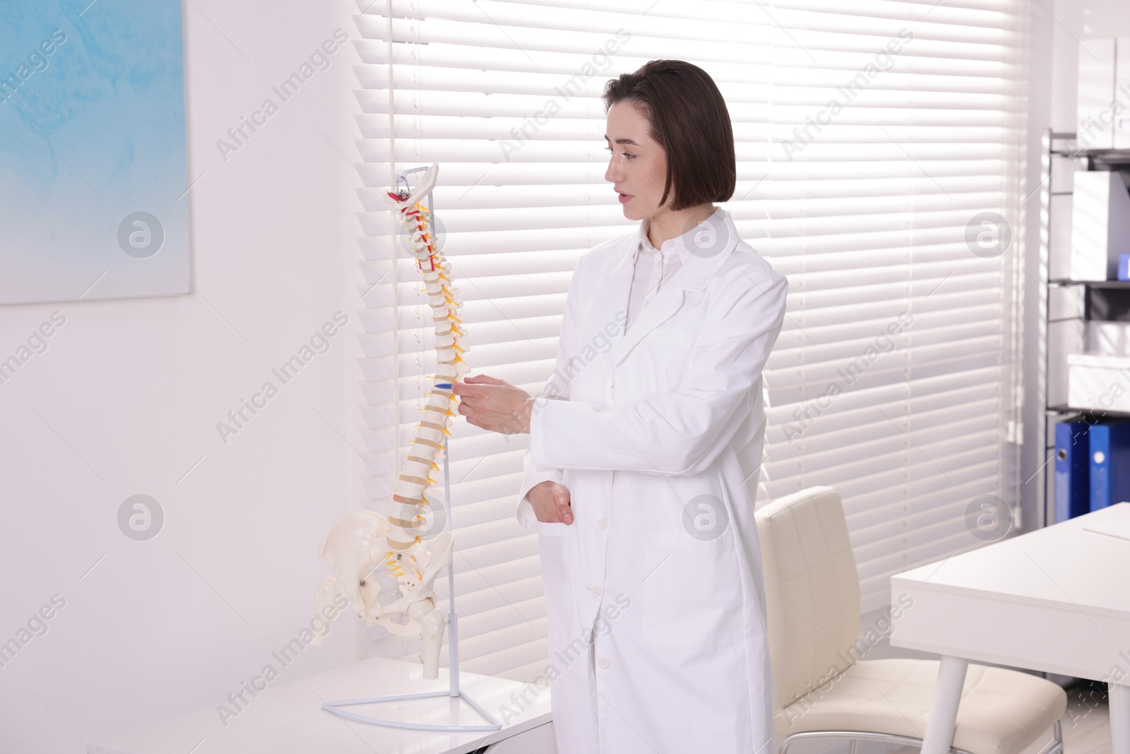 Photo of Doctor pointing at sections of human spine model in clinic