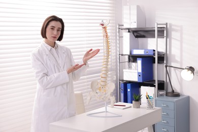 Photo of Doctor demonstrating human spine model at desk in clinic