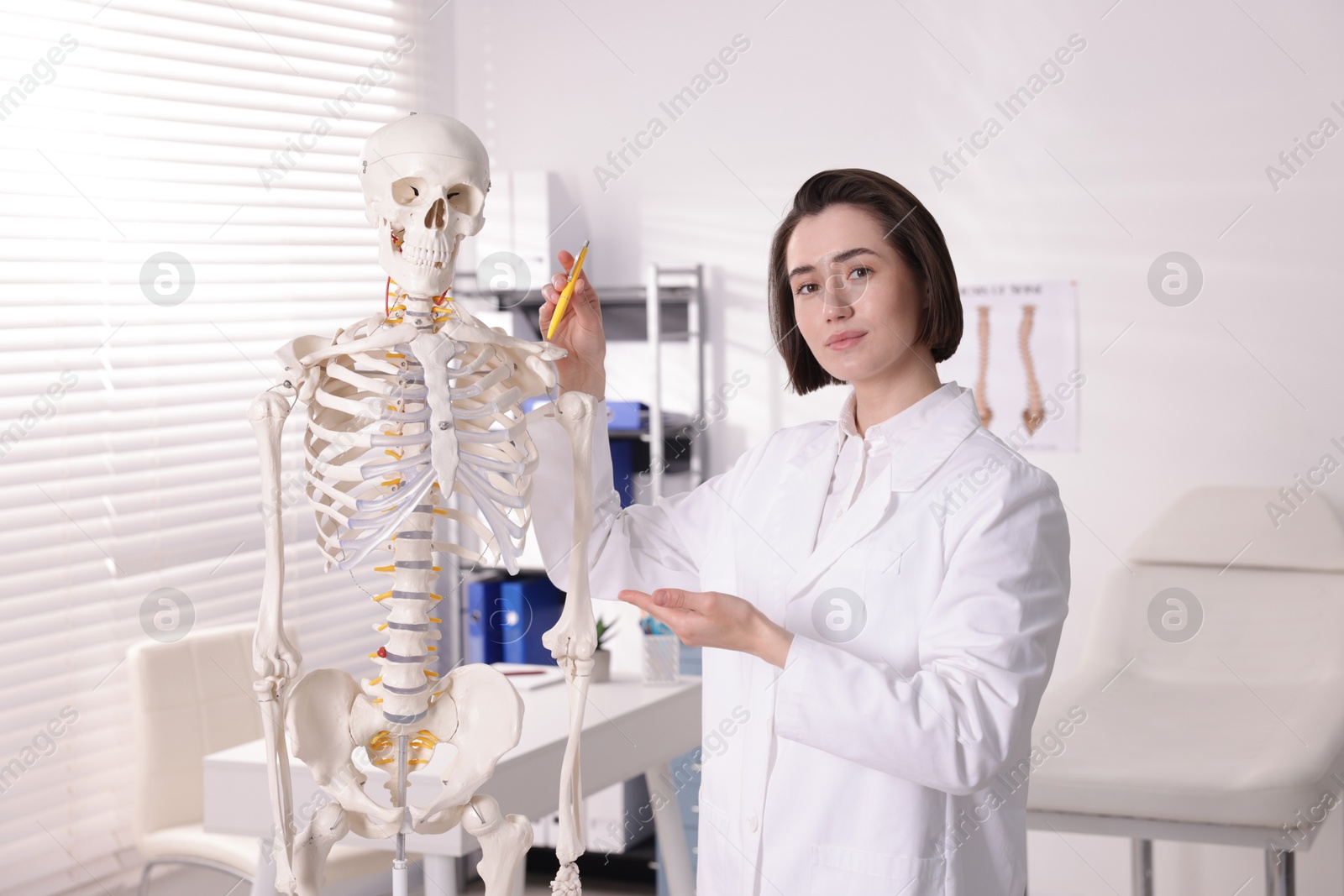 Doctor pointing at parts of human skeleton model in clinic Photo of Doctor pointing at parts of human skeleton model in clinic