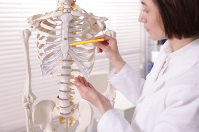 Photo of Doctor pointing at parts of human skeleton model in clinic, closeup
