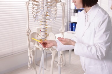 Photo of Doctor pointing at parts of human skeleton model in clinic, closeup