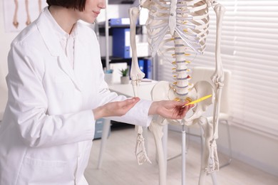 Photo of Doctor pointing at parts of human skeleton model in clinic, closeup