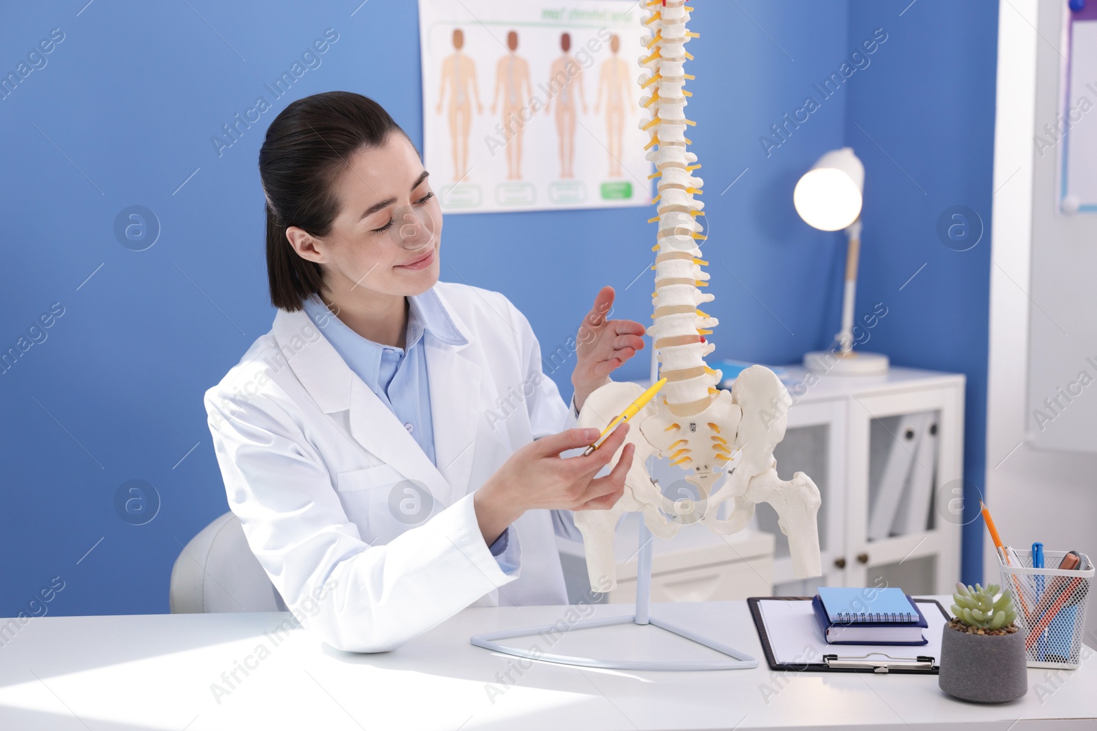 Photo of Doctor pointing at sections of human spine model at desk in clinic