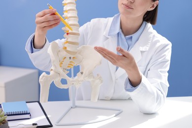 Photo of Doctor pointing at sections of human spine model at desk in clinic, closeup