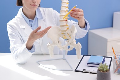 Photo of Doctor pointing at sections of human spine model at desk in clinic, closeup