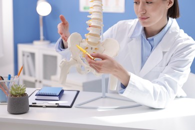Photo of Doctor pointing at sections of human spine model at desk in clinic, closeup