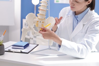 Photo of Doctor pointing at sections of human spine model at desk in clinic, closeup