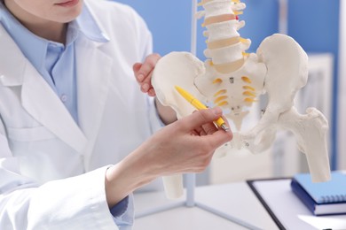 Photo of Doctor pointing at sections of human spine model in clinic, closeup