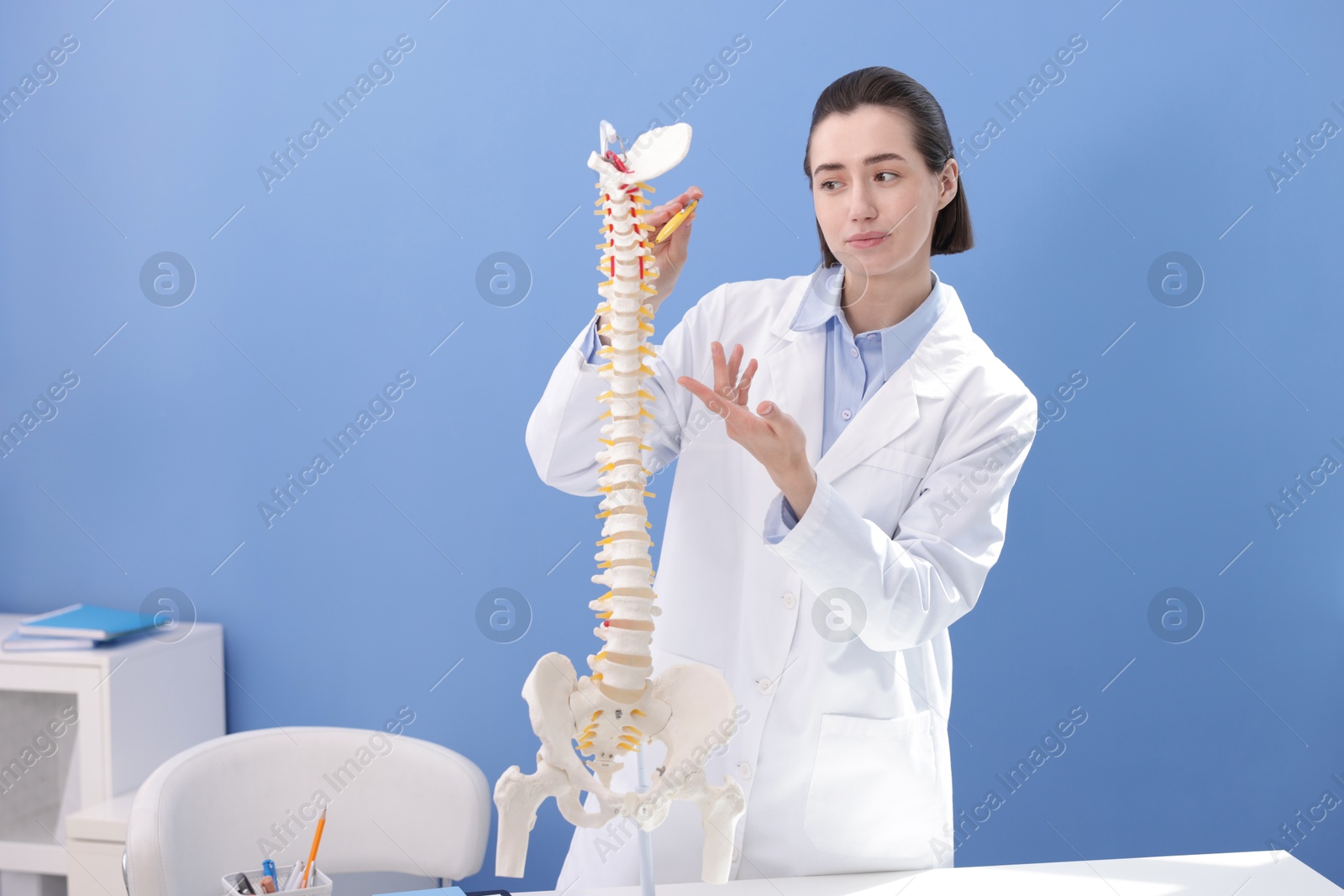 Photo of Doctor pointing at sections of human spine model near blue wall