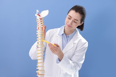 Photo of Doctor pointing at sections of human spine model near blue wall