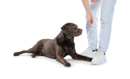 Photo of Woman training her dog on white background, closeup
