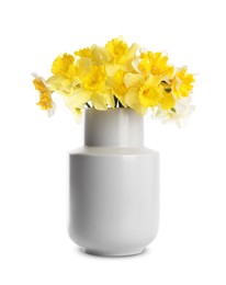 Photo of Beautiful daffodils in vase isolated on white