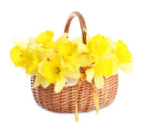 Photo of Beautiful daffodils in basket isolated on white