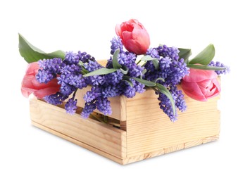 Photo of Beautiful colorful flowers in crate isolated on white