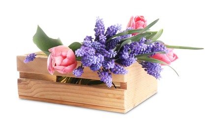 Photo of Beautiful colorful flowers in crate isolated on white