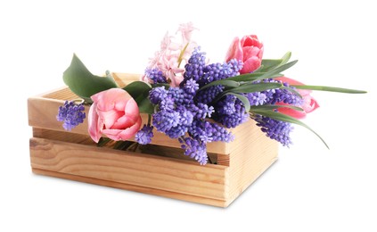 Photo of Beautiful colorful flowers in crate isolated on white