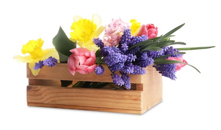 Photo of Beautiful colorful flowers in crate isolated on white