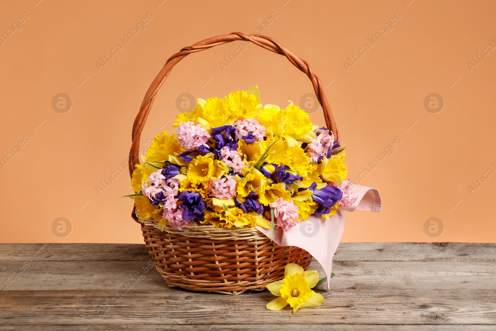 Wicker basket with beautiful flowers on wooden table against coral background Photo of Wicker basket with beautiful flowers on wooden table against coral background