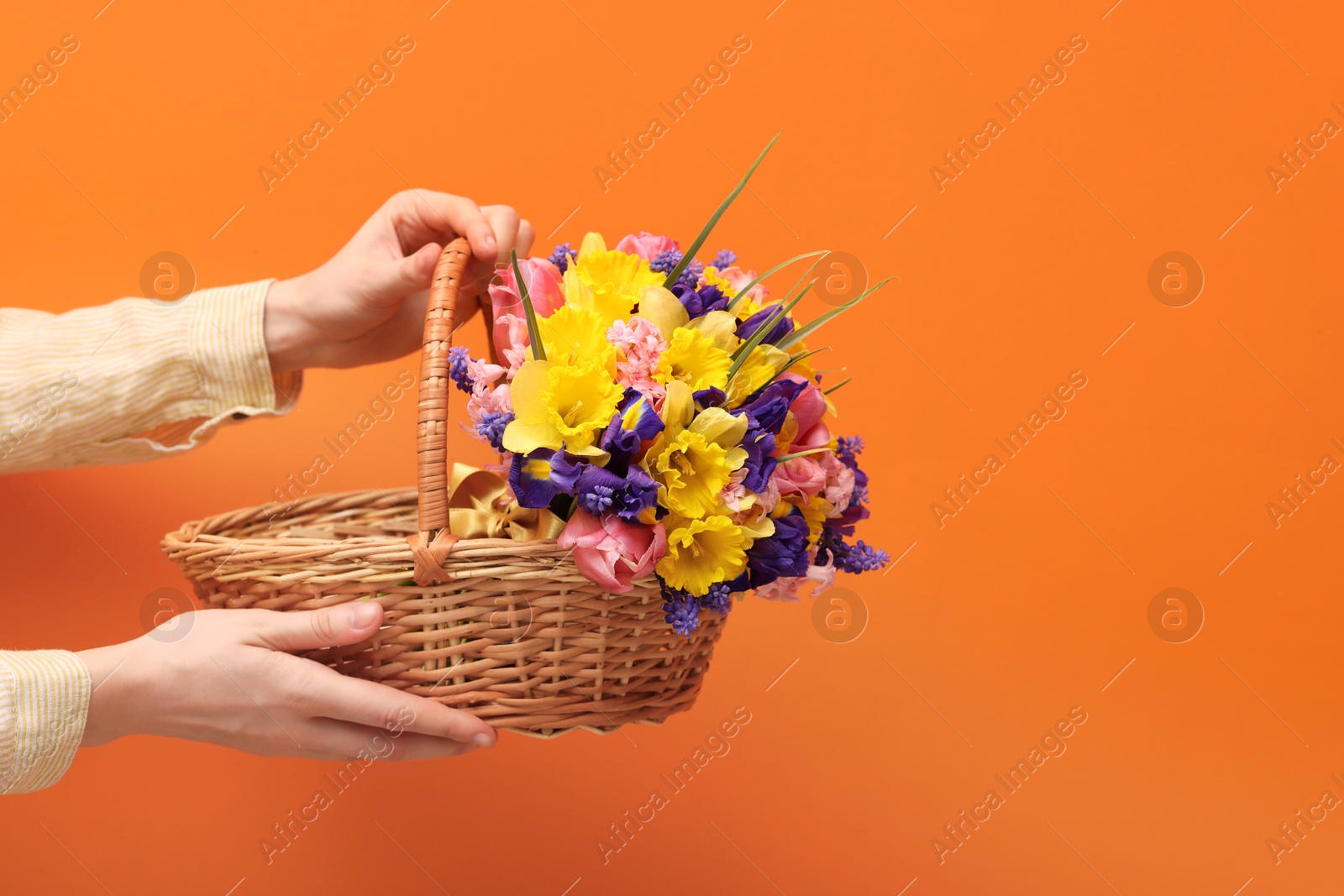 Woman holding wicker basket with beautiful flowers on orange background, closeup. Space for text Photo of Woman holding wicker basket with beautiful flowers on orange background, closeup. Space for text