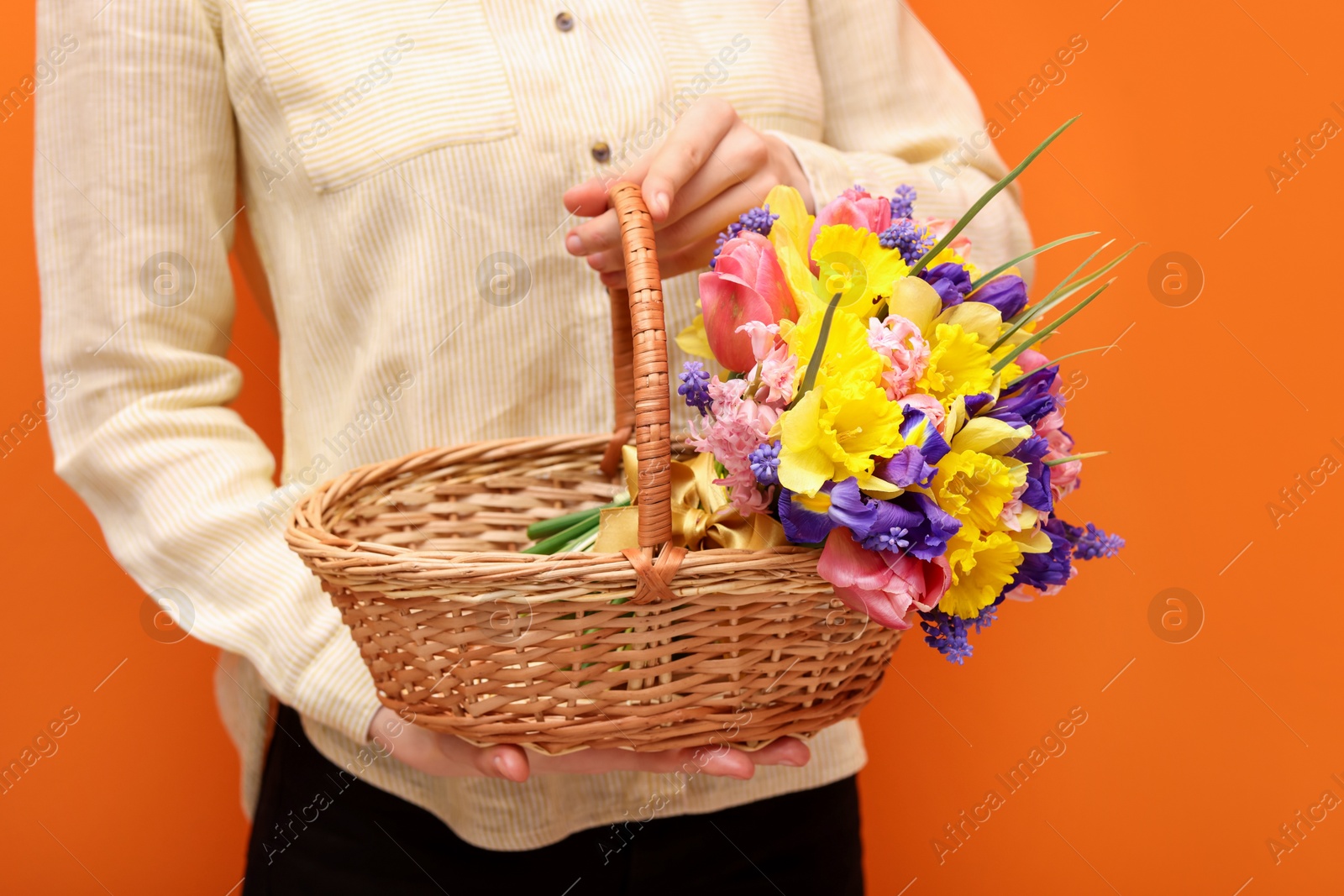 Woman holding wicker basket with beautiful flowers on orange background, closeup Photo of Woman holding wicker basket with beautiful flowers on orange background, closeup
