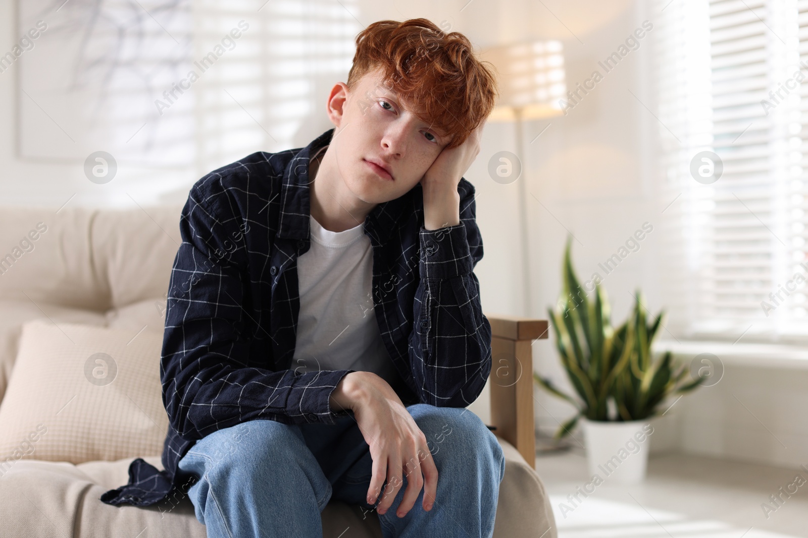 Teen problems. Depressed teenage boy on sofa at home Photo of Teen problems. Depressed teenage boy on sofa at home