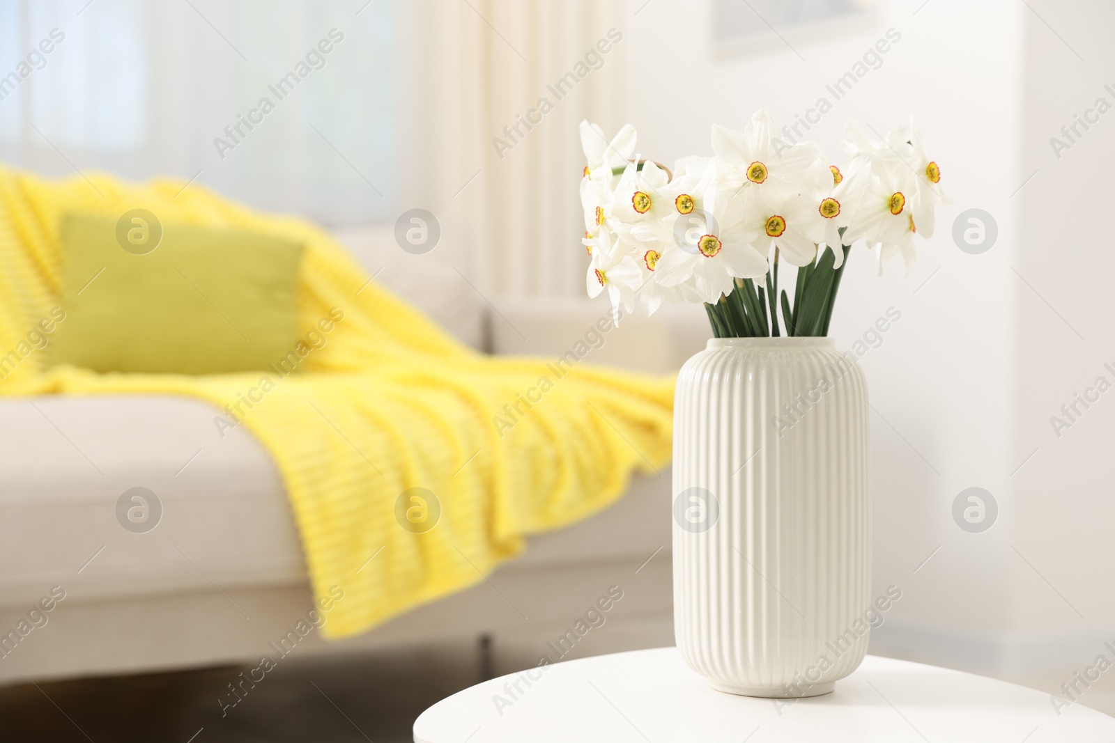 Beautiful daffodils in vase on white table at home, space for text Photo of Beautiful daffodils in vase on white table at home, space for text