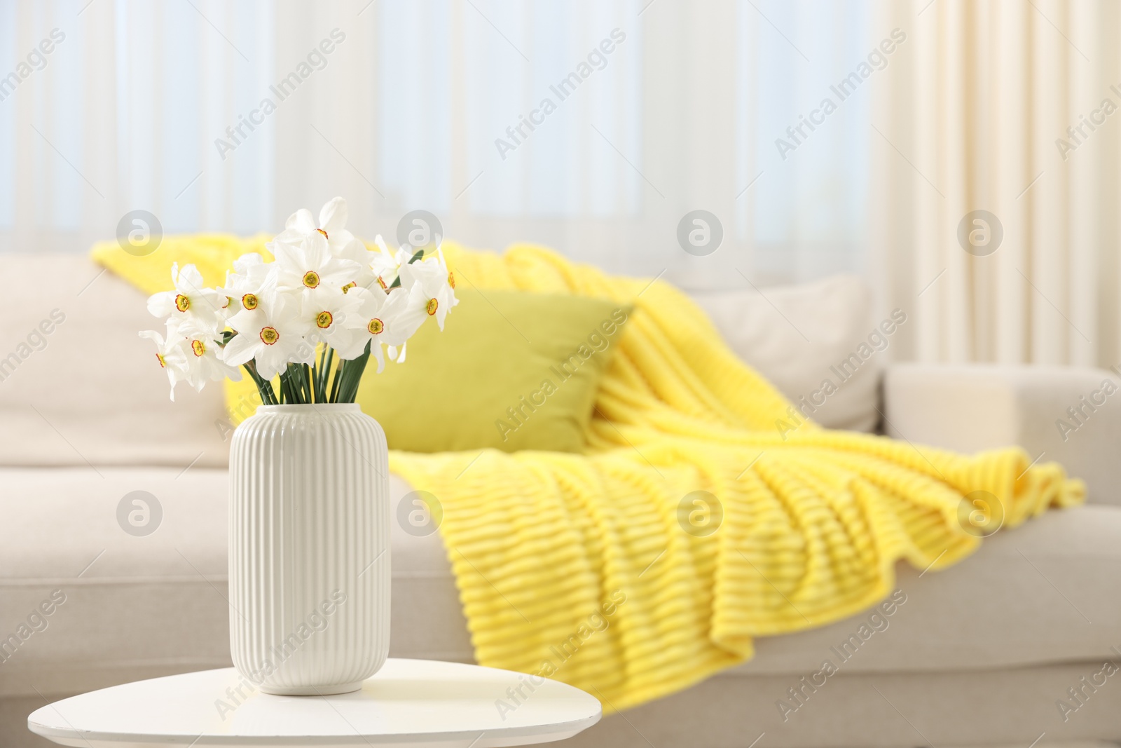 Beautiful daffodils in vase on white table at home, space for text Photo of Beautiful daffodils in vase on white table at home, space for text