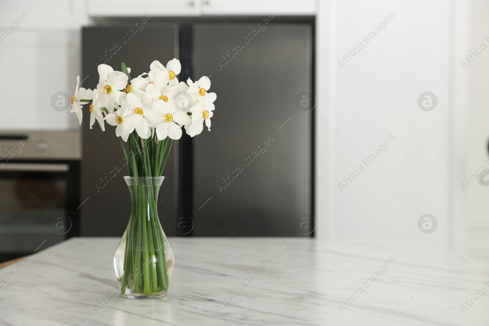 Beautiful daffodils in vase on white marble table indoors, space for text Photo of Beautiful daffodils in vase on white marble table indoors, space for text
