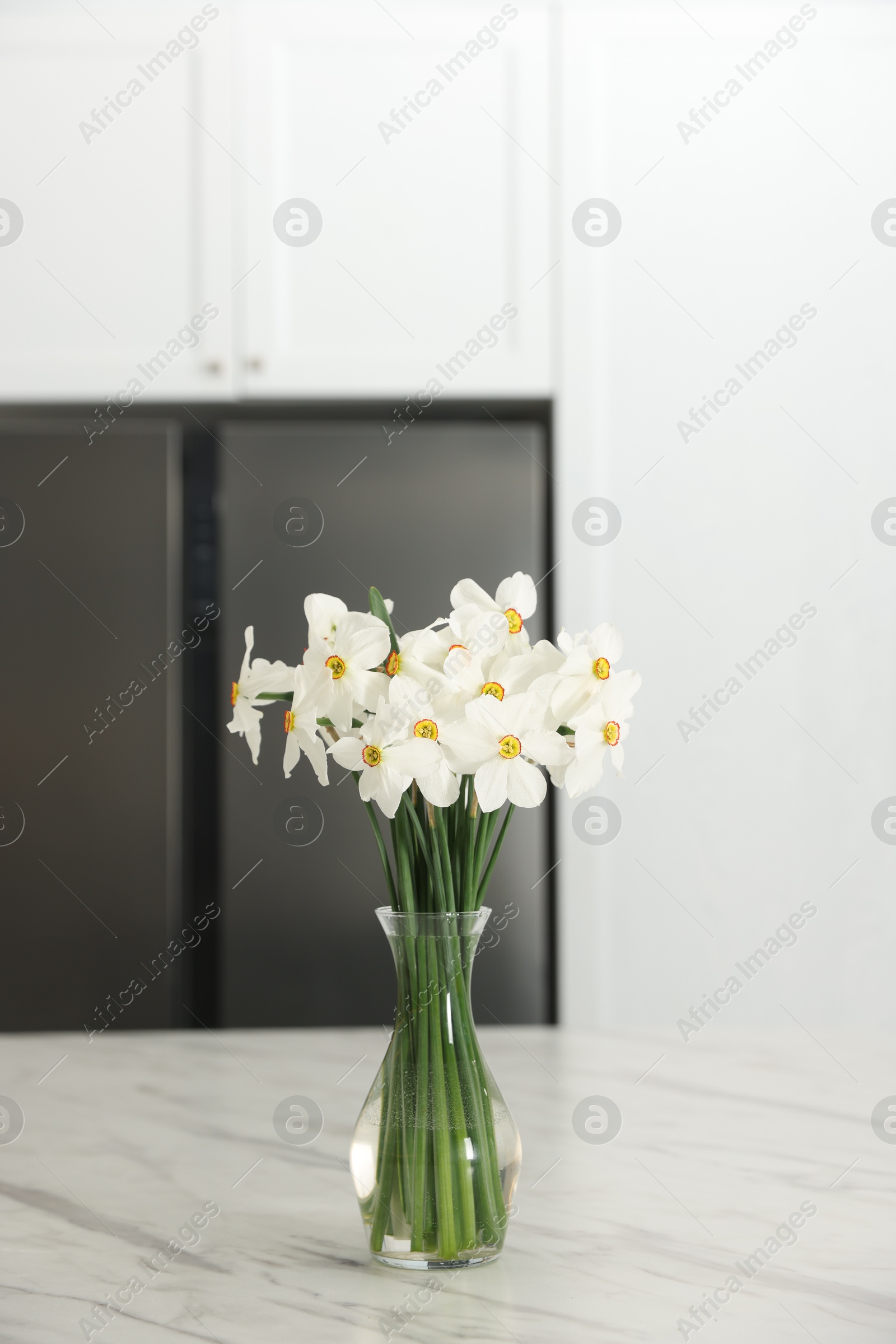 Beautiful daffodils in vase on white marble table indoors Photo of Beautiful daffodils in vase on white marble table indoors