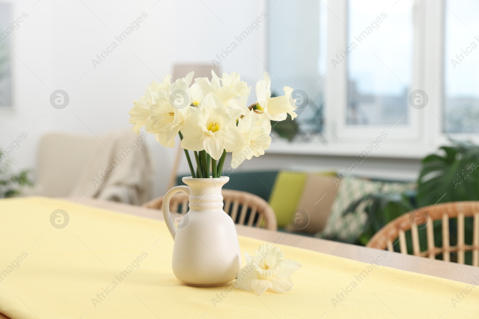Beautiful daffodils in vase on table at home Photo of Beautiful daffodils in vase on table at home