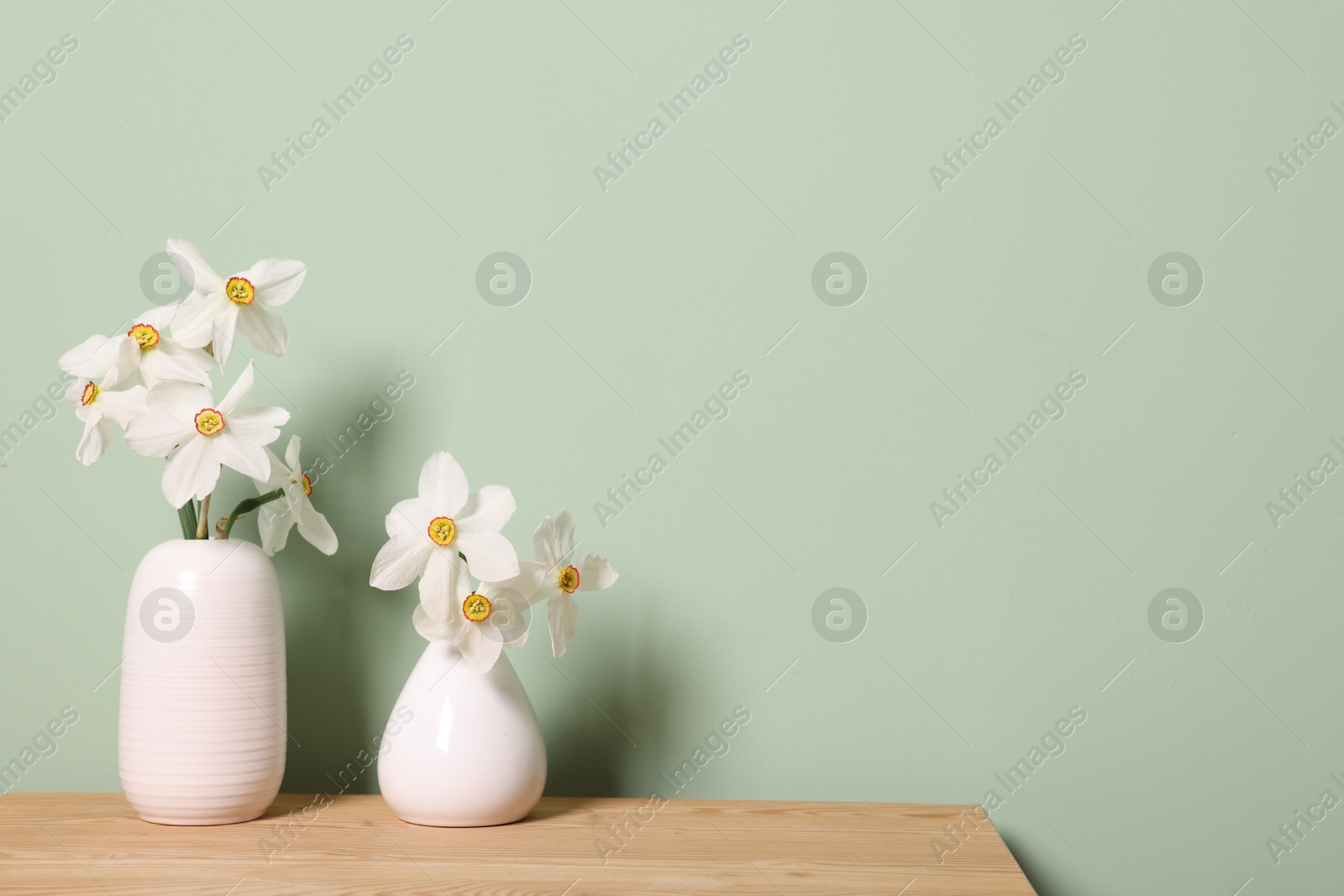 Beautiful daffodils in vases on wooden table near light green wall. Space for text Photo of Beautiful daffodils in vases on wooden table near light green wall. Space for text