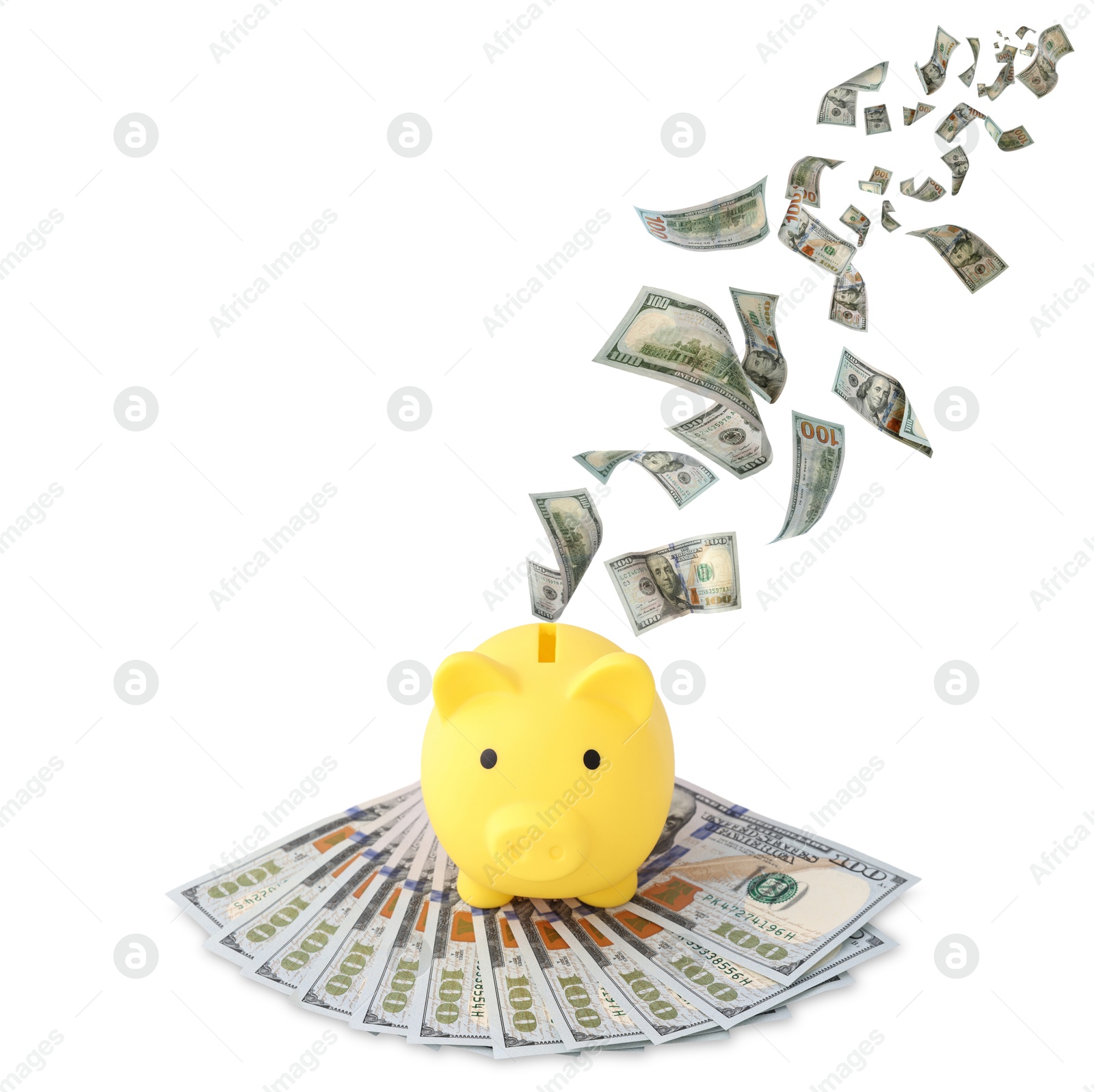 Dollar bills falling into piggy bank on white background Image of Dollar bills falling into piggy bank on white background