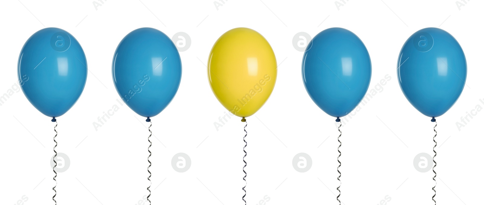 Individuality, uniqueness, different. Yellow balloon among blue ones on white background Image of Individuality, uniqueness, different. Yellow balloon among blue ones on white background