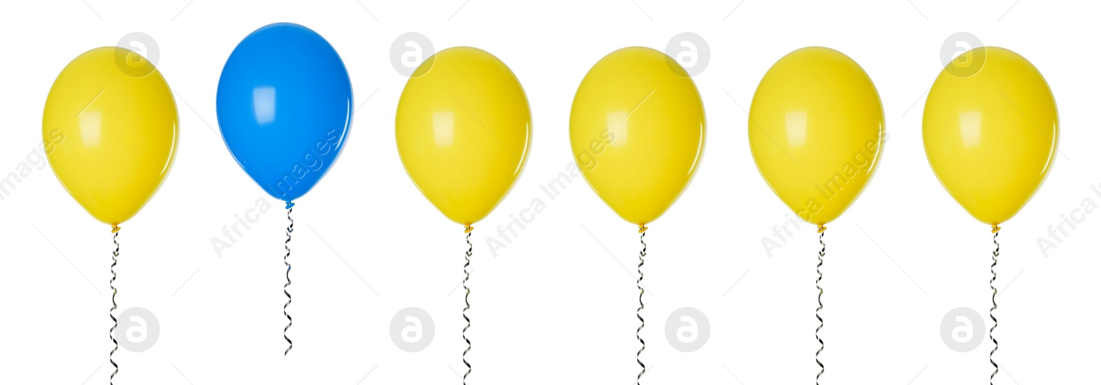 Individuality, uniqueness, different. Blue balloon among yellow ones on white background Image of Individuality, uniqueness, different. Blue balloon among yellow ones on white background