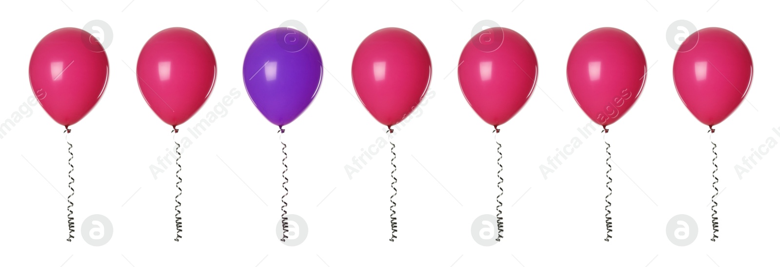 Individuality, uniqueness, different. Purple balloon among crimson ones on white background Image of Individuality, uniqueness, different. Purple balloon among crimson ones on white background